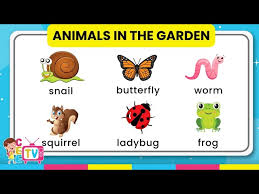Garden Animals